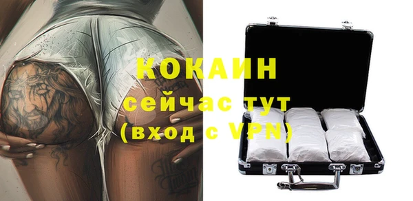 прущие грибы Карталы