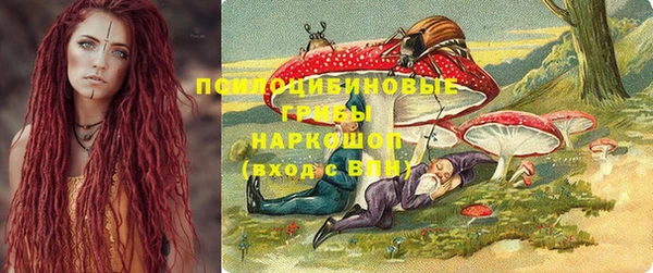 прущие грибы Карталы