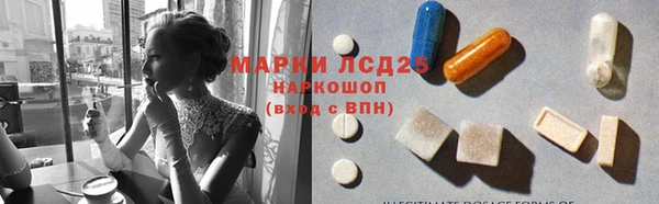 СК Касимов