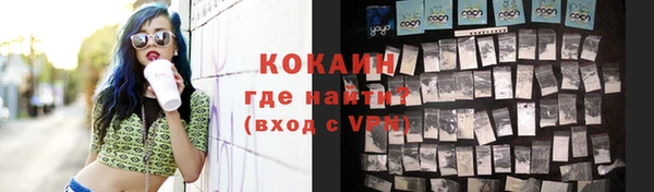 прущие грибы Карталы