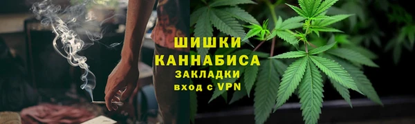 ПСИЛОЦИБИНОВЫЕ ГРИБЫ Карпинск