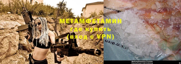 прущие грибы Карталы