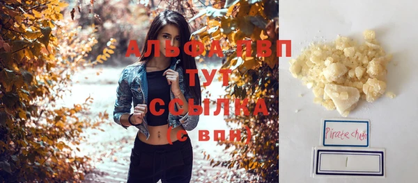 прущие грибы Карталы