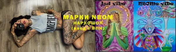 ПСИЛОЦИБИНОВЫЕ ГРИБЫ Карпинск