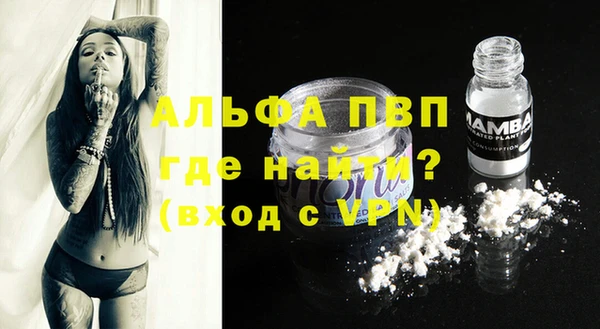 прущие грибы Карталы