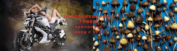 прущие грибы Карталы