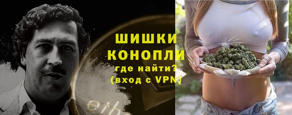 СК Касимов