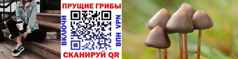 Галлюциногенные грибы прущие грибы  Купить где  Калтан 